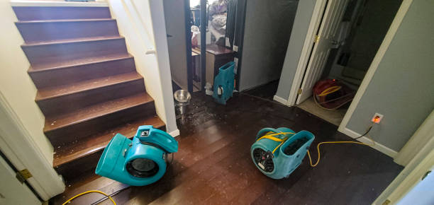 Best Ceiling water damage repair  in Lake Winnebago, MO