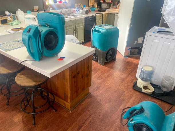 Best Flood damage cleanup  in Lake Winnebago, MO