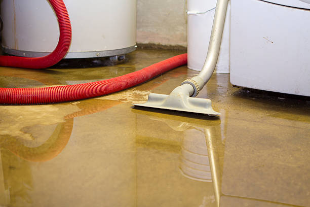 Best Basement water damage restoration  in Lake Winnebago, MO