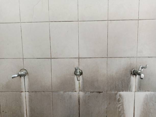 Best Professional water damage repair  in Lake Winnebago, MO