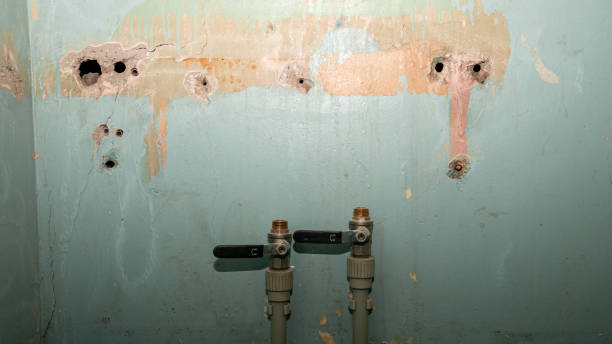 Best Water damage restoration process  in Lake Winnebago, MO