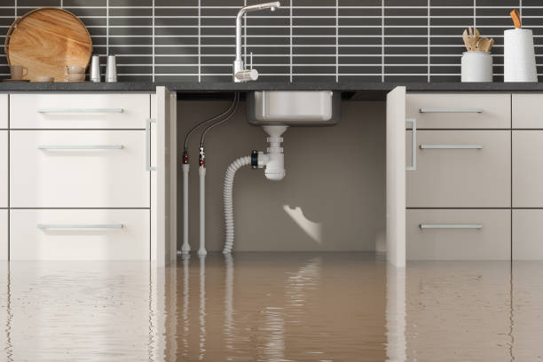 Best Professional water damage repair  in Lake Winnebago, MO